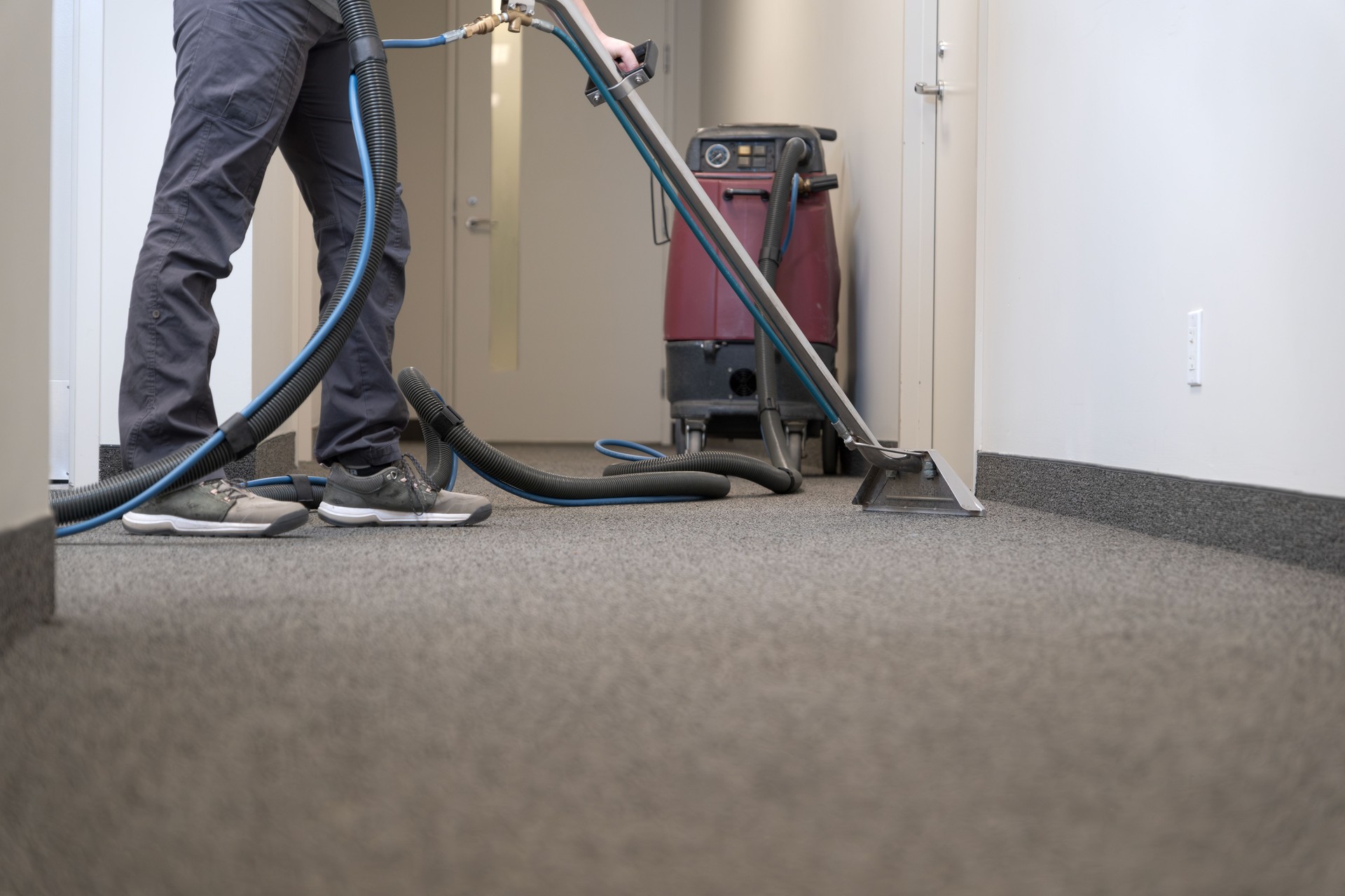 professional woman cleaning a carpet, Cleaning service concept